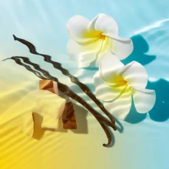 Sale Leichtes Fluid hoher Schutz LSF 50 Tagescreme|Sonnenschutz Gesicht
