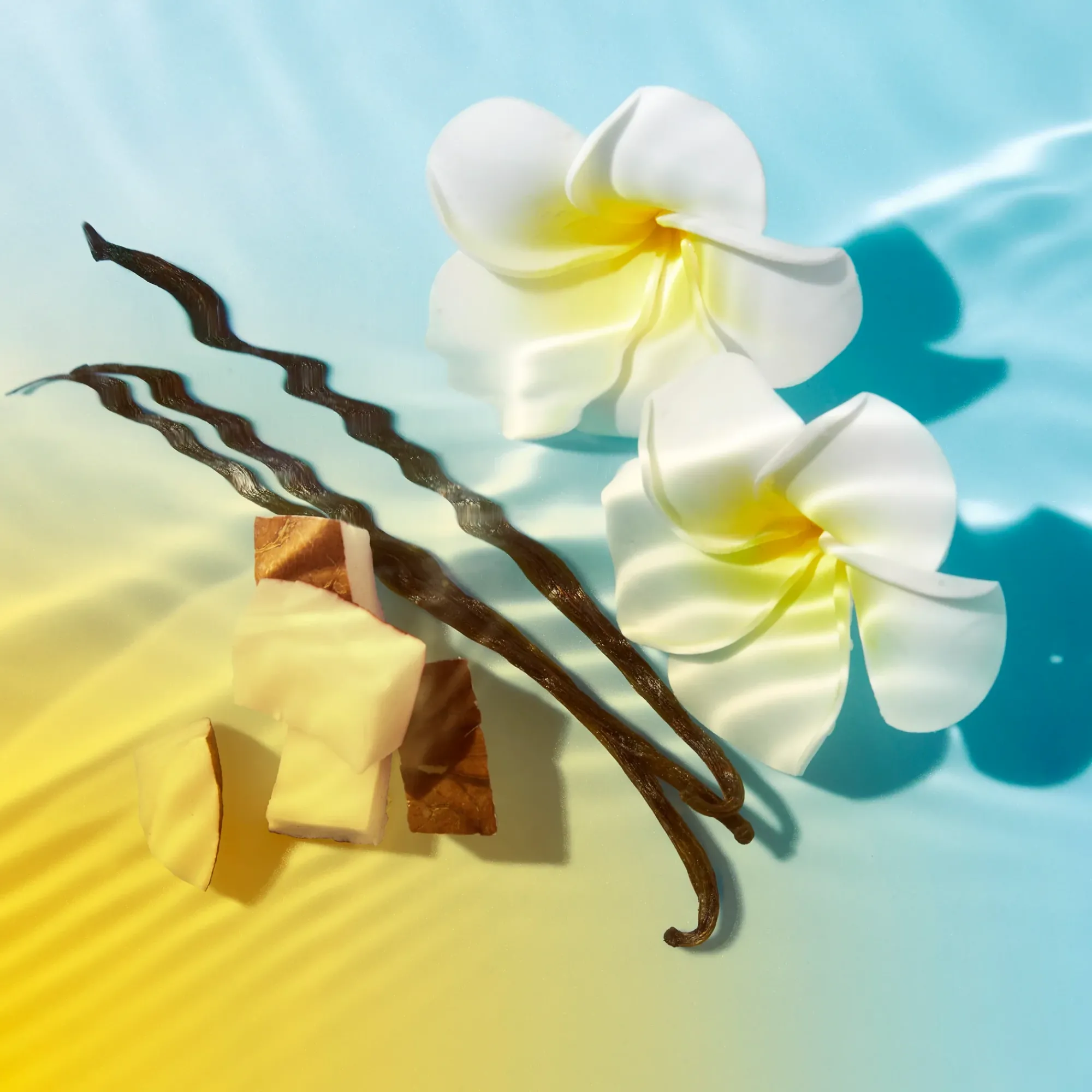 Sale Zartschmelzende Sonnencreme LSF 30 Tagescreme|Sonnenschutz Gesicht
